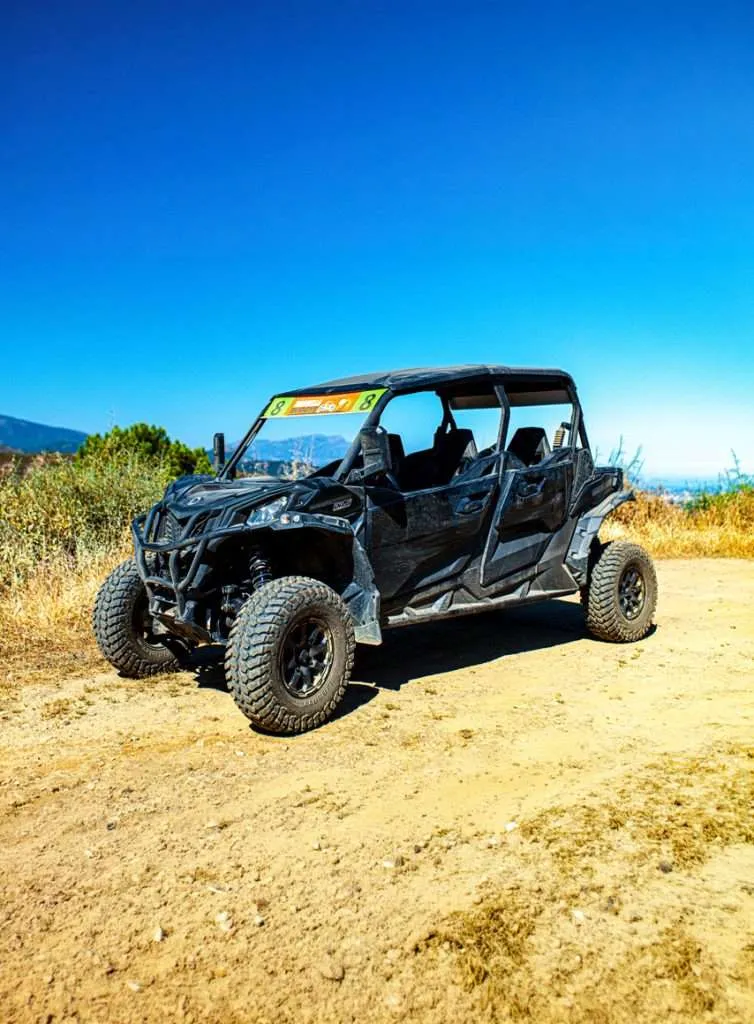 Buggy Can - Am de 4 plazas